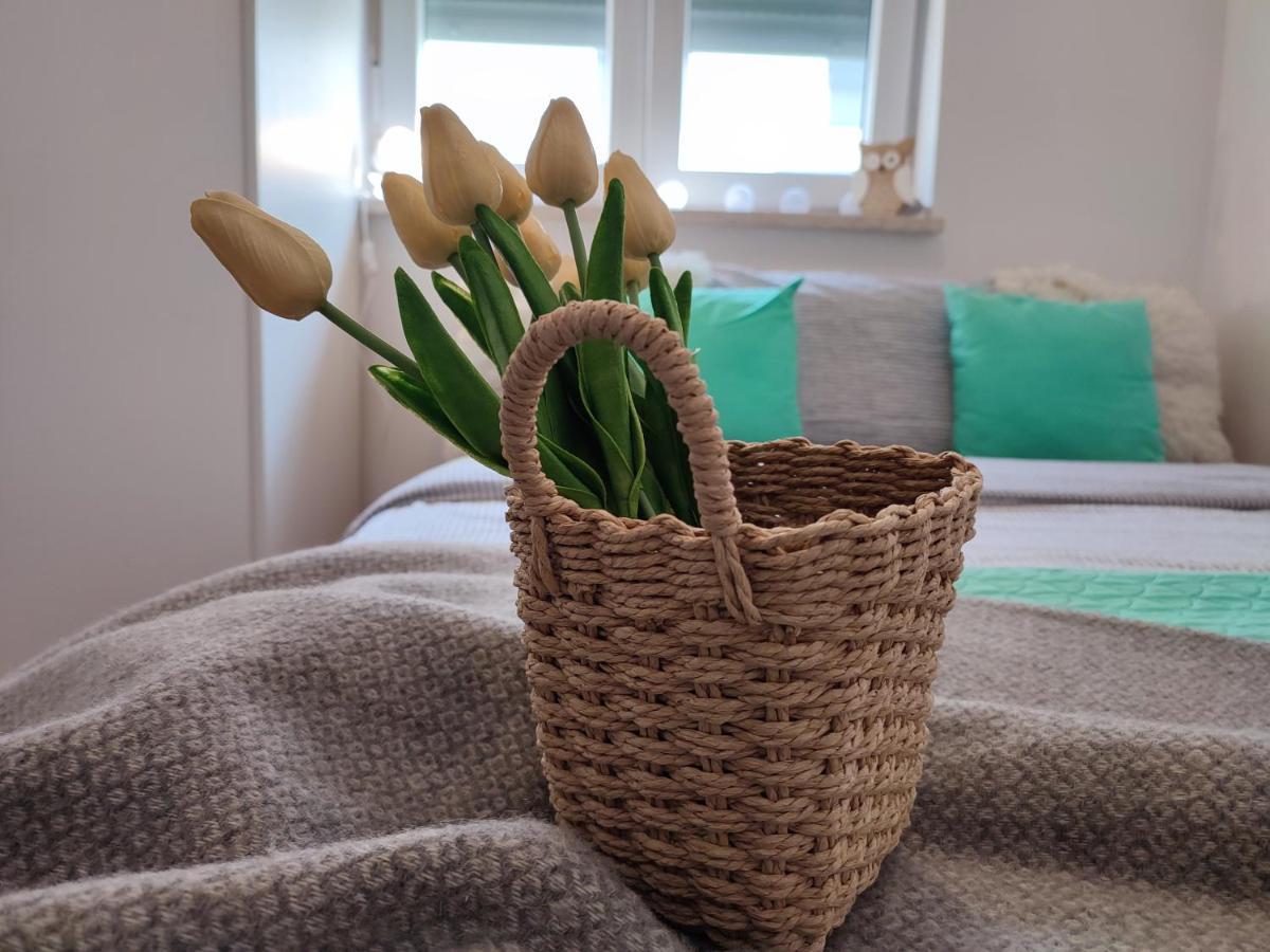 Apartament Nina Pula Zewnętrze zdjęcie
